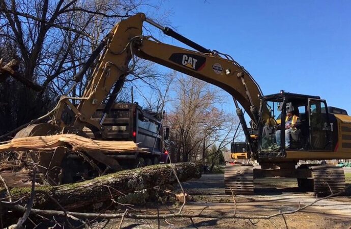 Rubbish and Debris Removal, Palm Beach Junk Removal and Trash Haulers